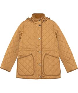 BURBERRY Куртка