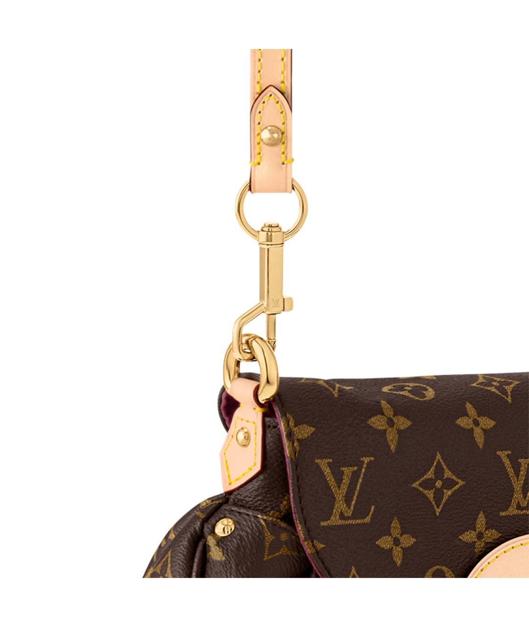 LOUIS VUITTON Коричневая кожаная сумка через плечо, фото 5