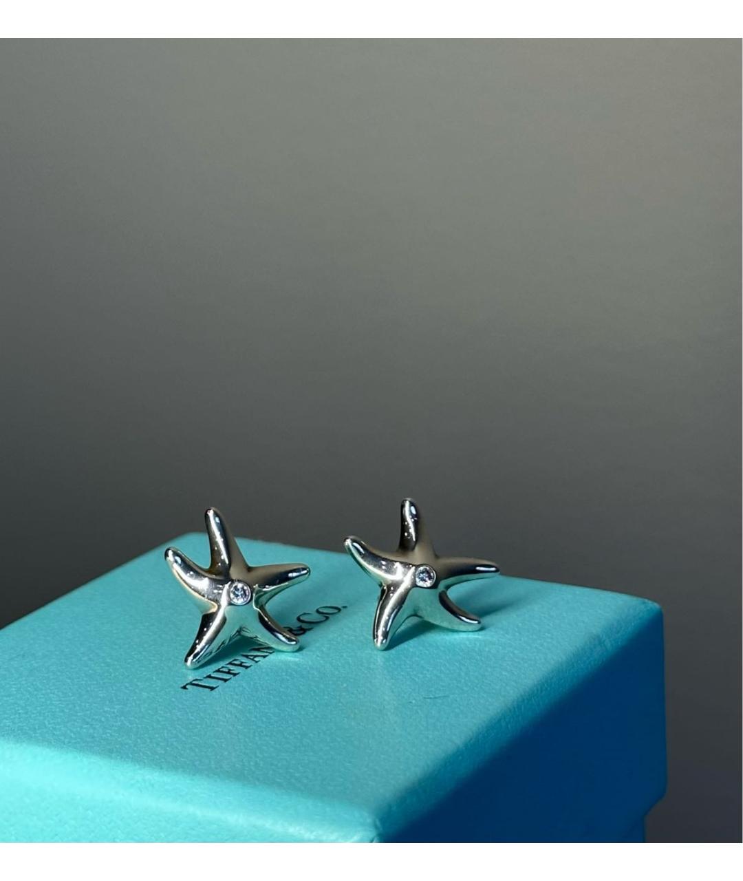 TIFFANY&CO Серебряные серебряные серьги, фото 2