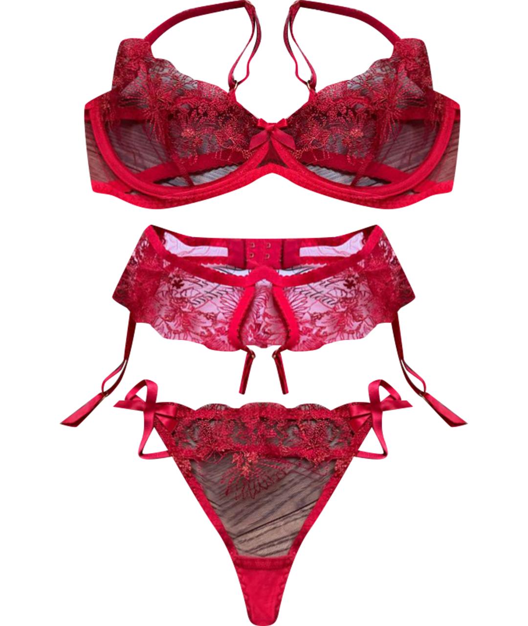 AGENT PROVOCATEUR Бордовый комплекты, фото 1