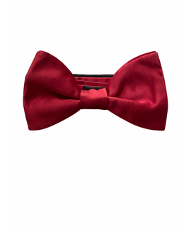 

Бабочка LANVIN