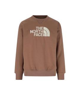 THE NORTH FACE Худи/толстовка