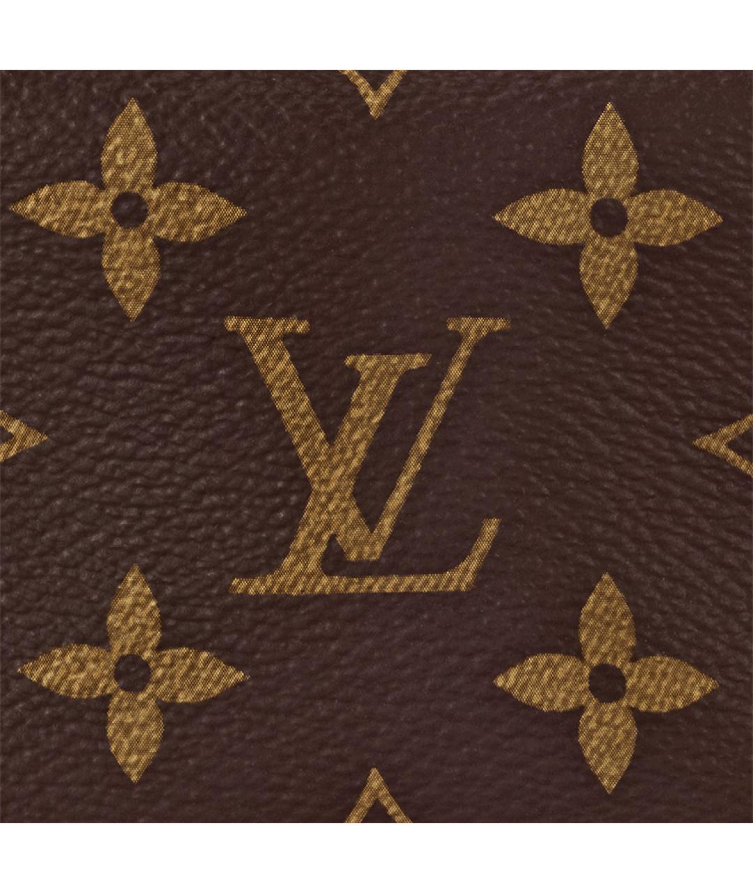 LOUIS VUITTON Коричневая сумка через плечо, фото 6