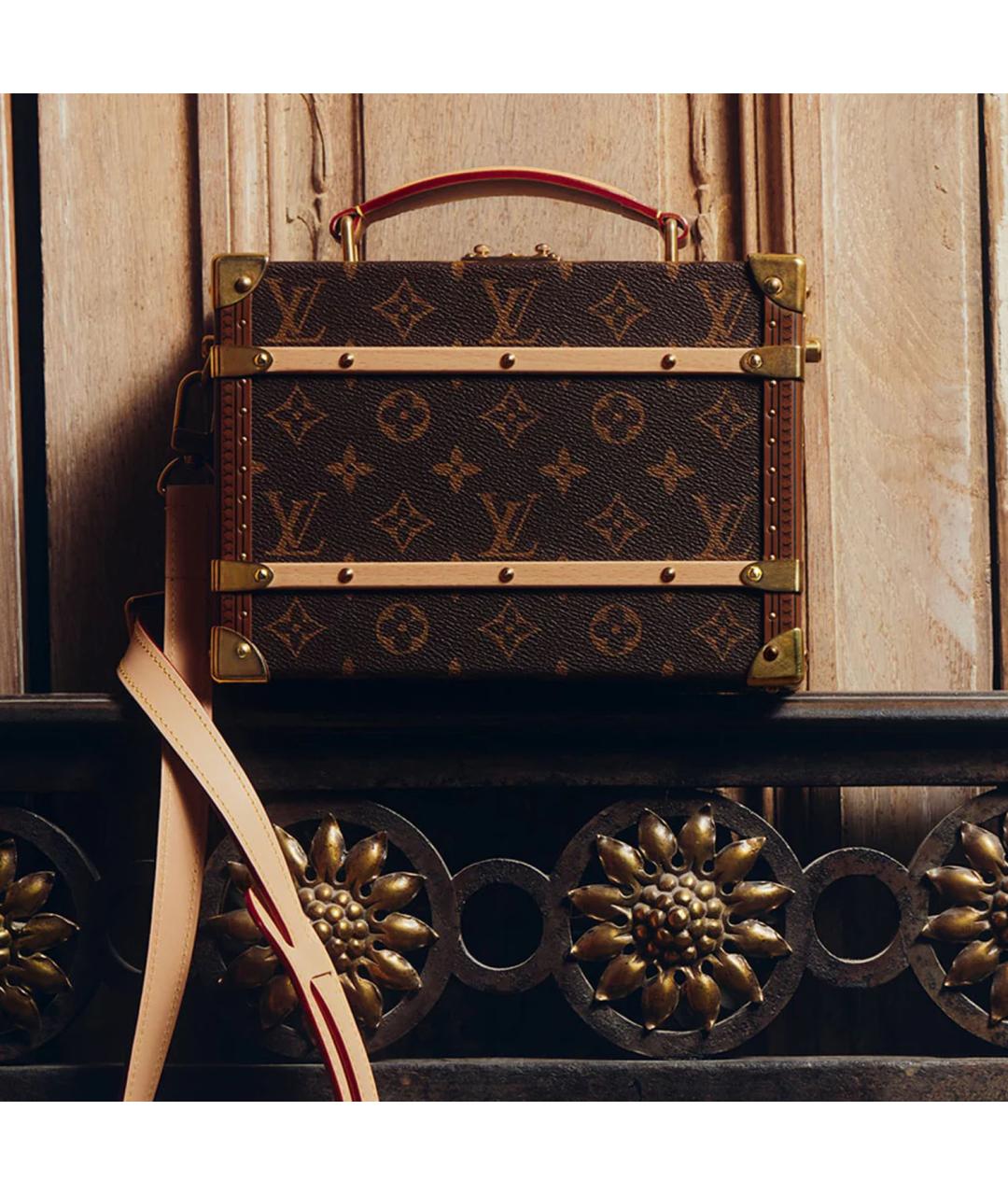 LOUIS VUITTON Коричневая сумка через плечо, фото 9