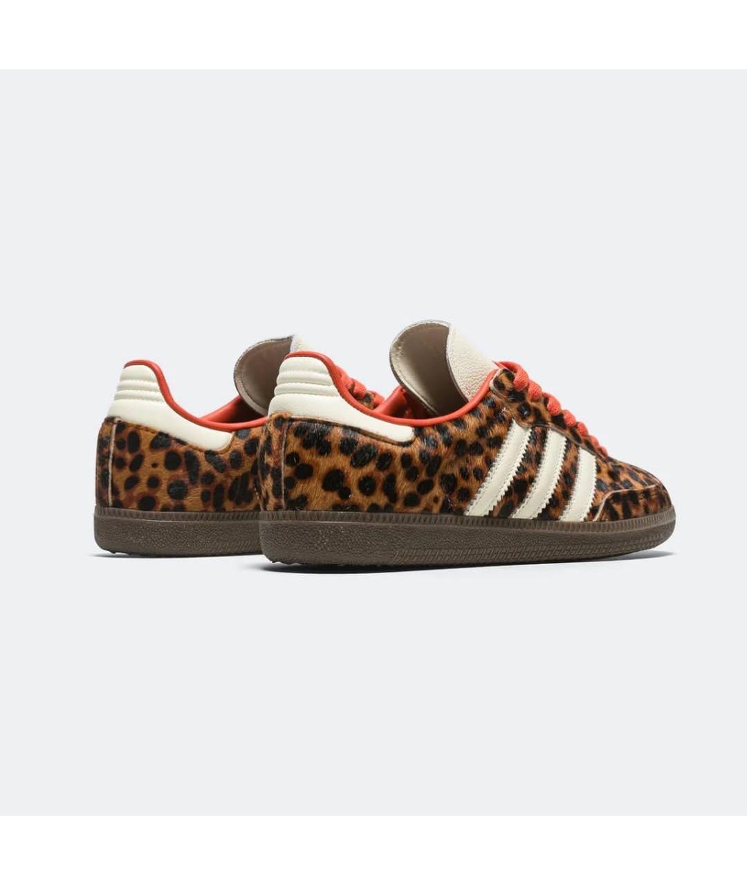 ADIDAS Кеды, фото 4