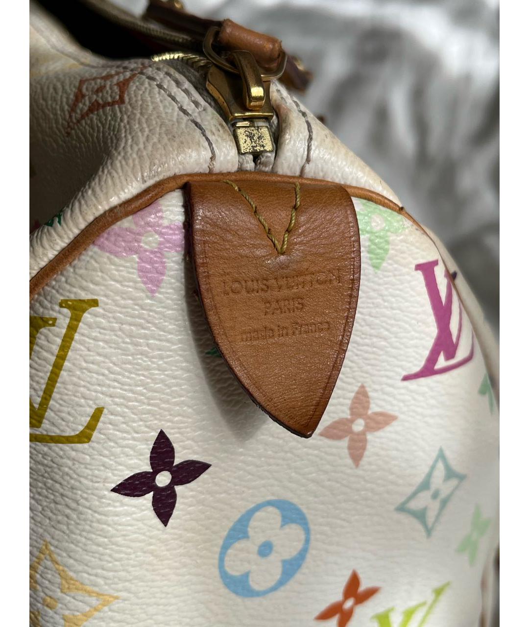 LOUIS VUITTON Мульти сумка с короткими ручками, фото 8