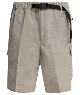 THE NORTH FACE Шорты