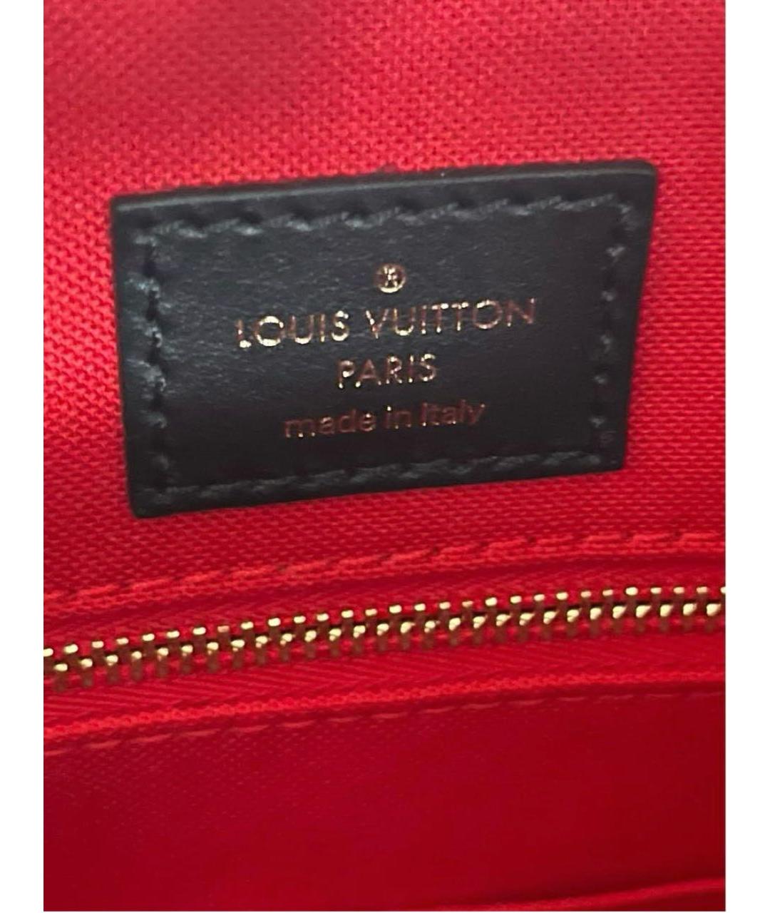 LOUIS VUITTON Коричневая сумка тоут, фото 5
