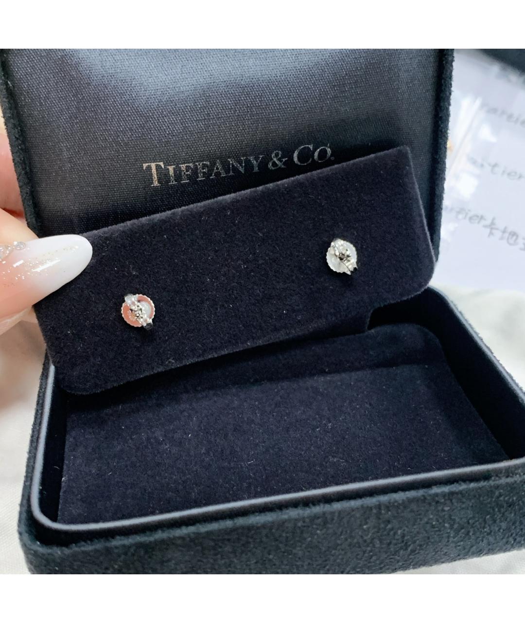 TIFFANY&CO Бирюзовые деревянные серьги, фото 4