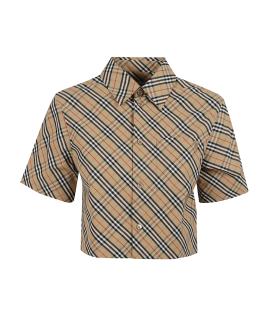 BURBERRY Рубашка