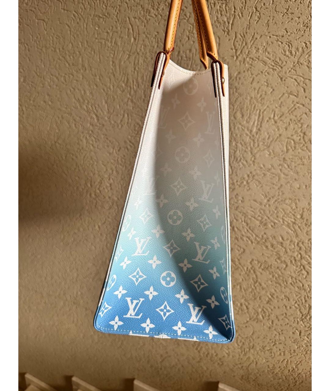 LOUIS VUITTON Голубая кожаная сумка тоут, фото 3