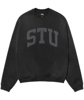 STUSSY Худи/толстовка