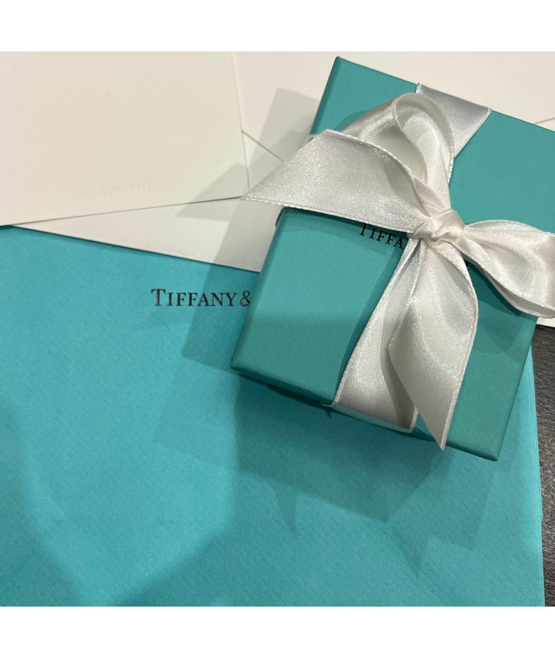 TIFFANY&CO Серебряные серебряные серьги, фото 4