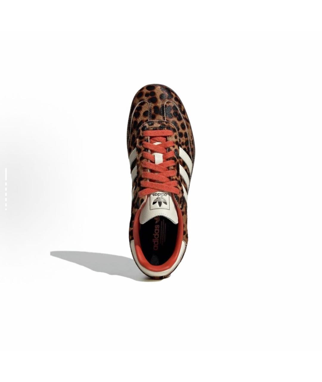 ADIDAS Мульти кеды, фото 3