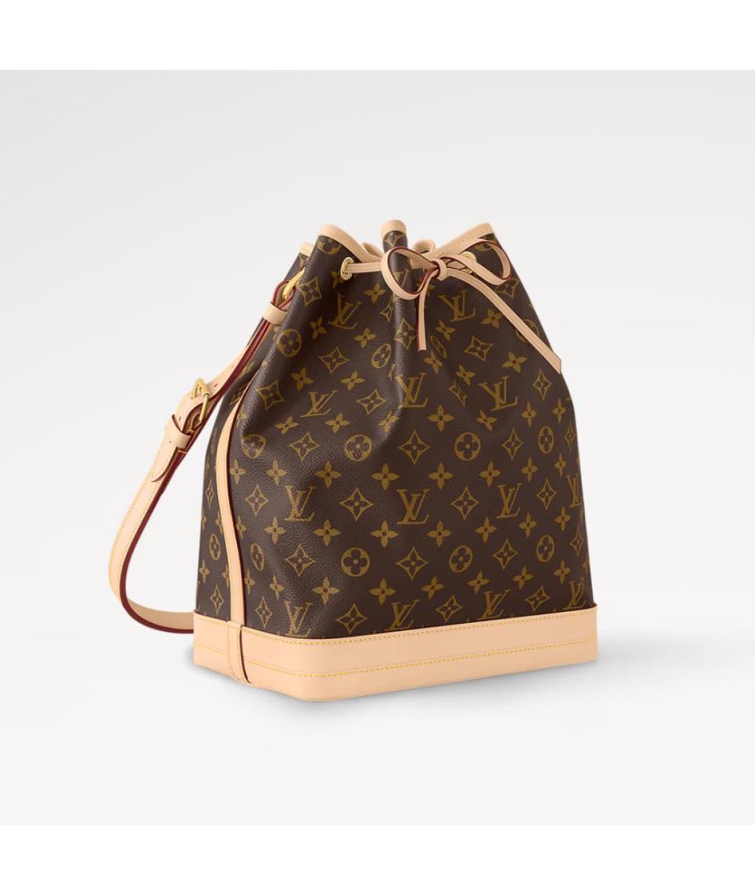 LOUIS VUITTON Коричневая кожаная сумка тоут, фото 2