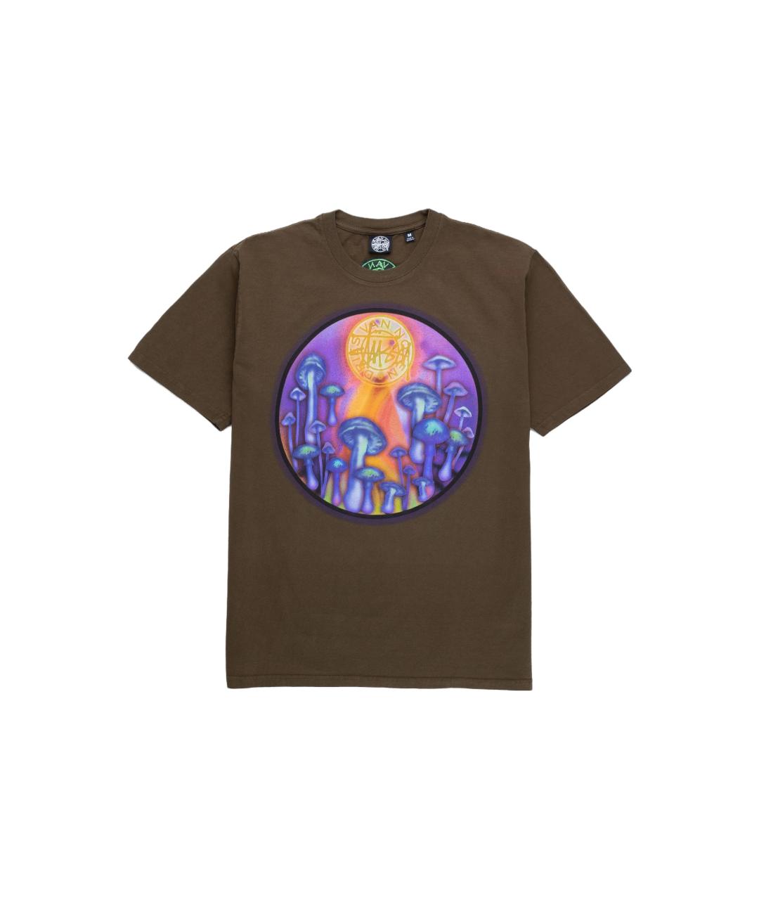 STUSSY Коричневая хлопковая футболка, фото 1