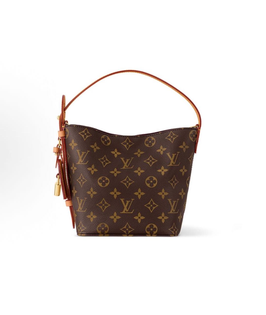 LOUIS VUITTON Коричневая сумка тоут, фото 5