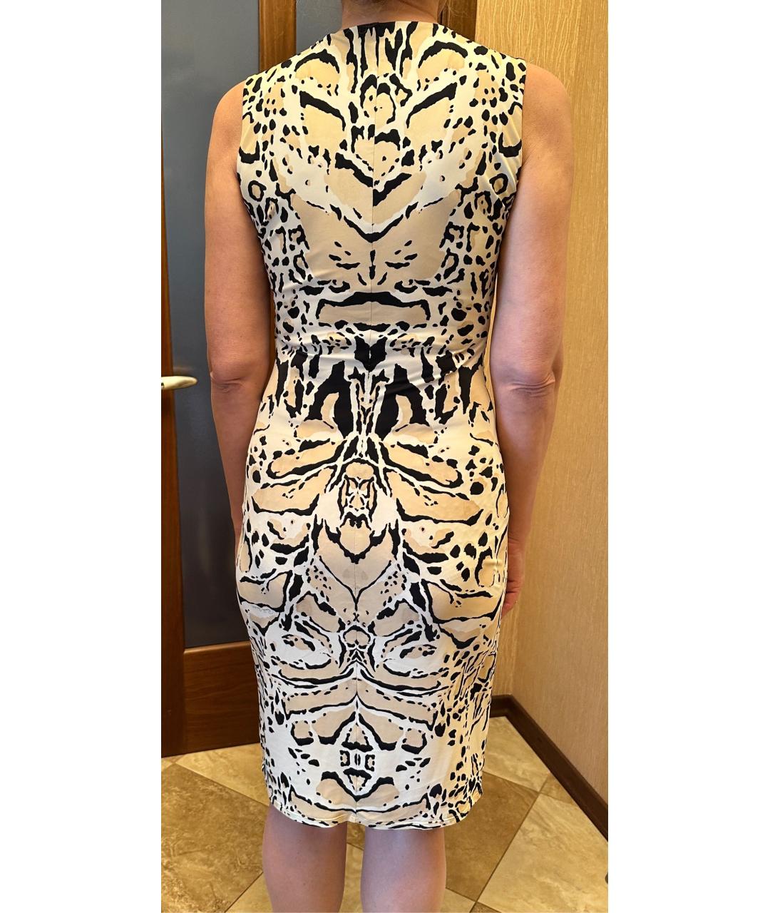 ROBERTO CAVALLI Мульти повседневное платье, фото 3