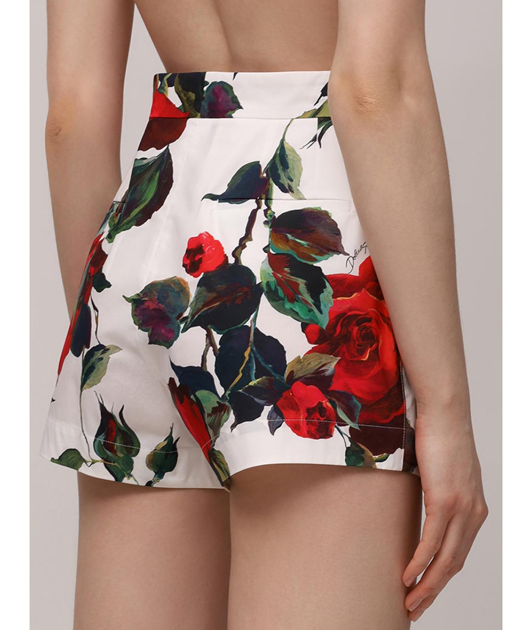 DOLCE&GABBANA Мульти хлопковые шорты, фото 3