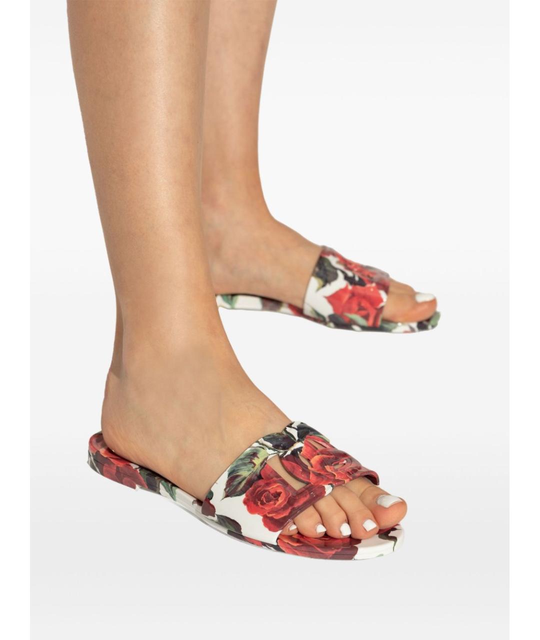 DOLCE&GABBANA Мульти шлепанцы, фото 5