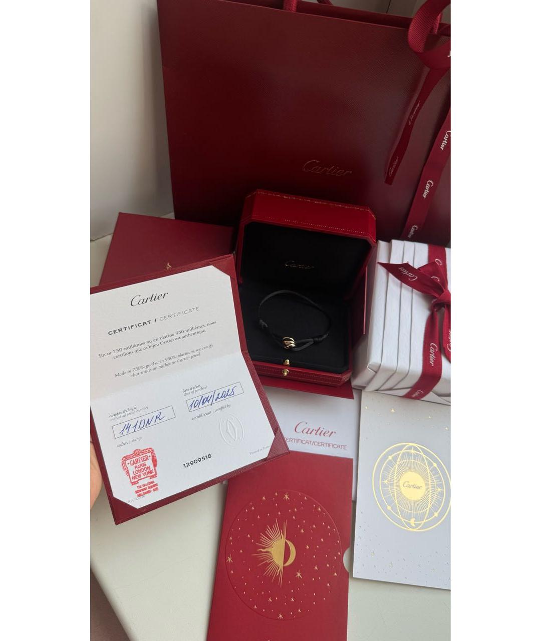 CARTIER Черный браслет из желтого золота, фото 7