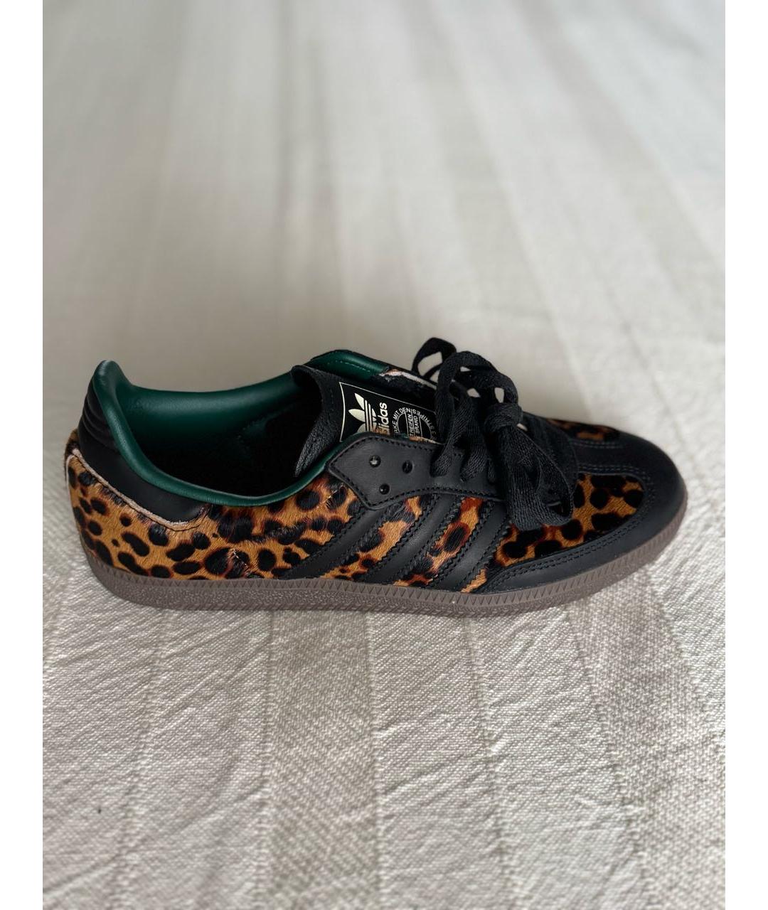 ADIDAS Коричневые кеды, фото 8