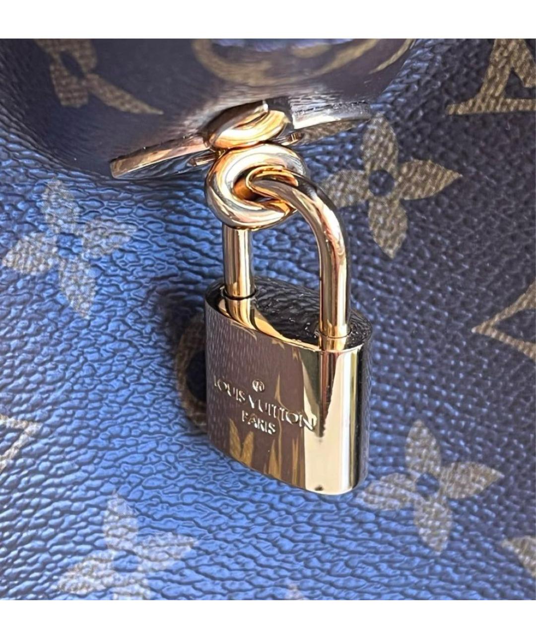 LOUIS VUITTON Коричневая сумка тоут, фото 7