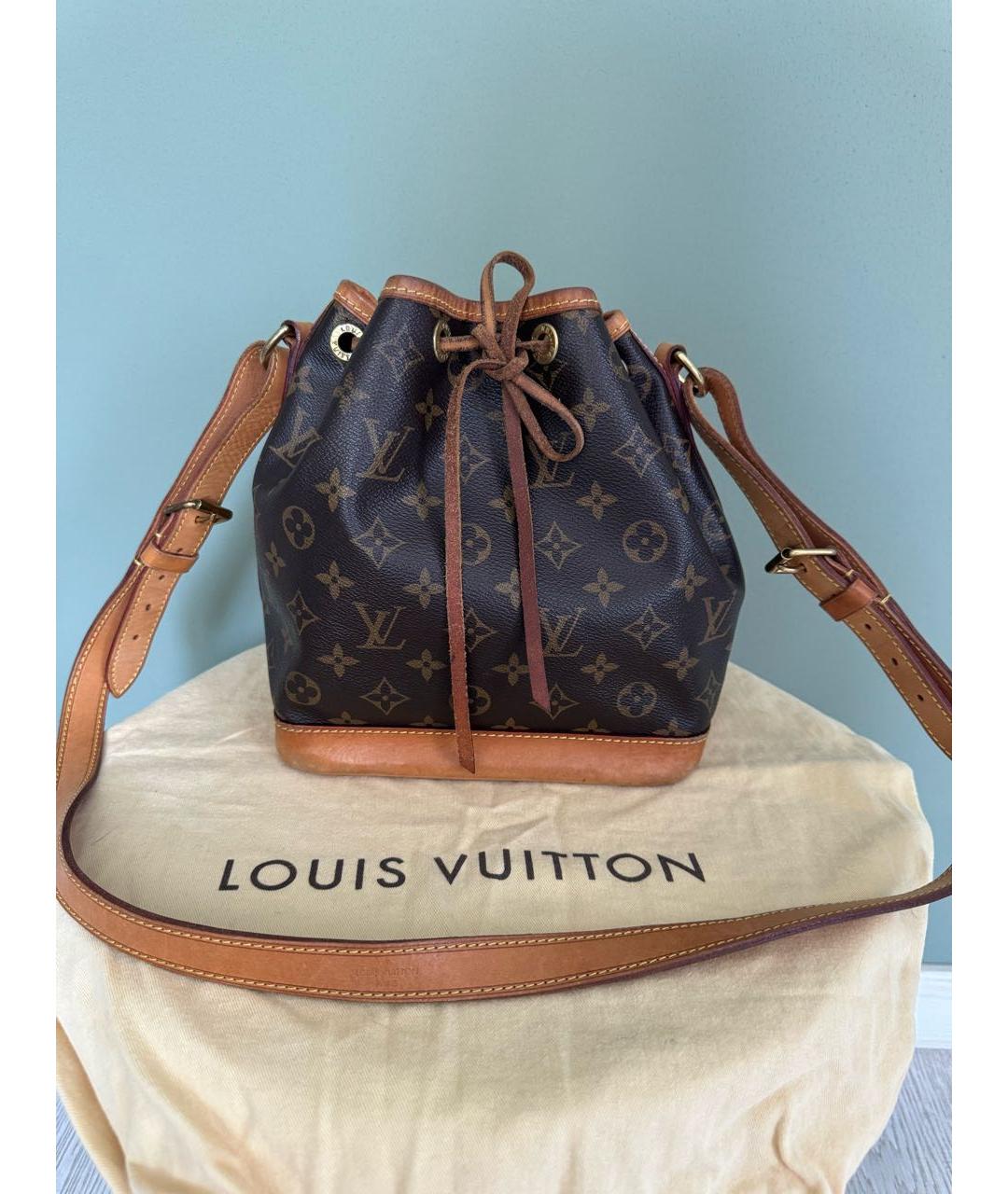 LOUIS VUITTON Коричневая кожаная сумка тоут, фото 2