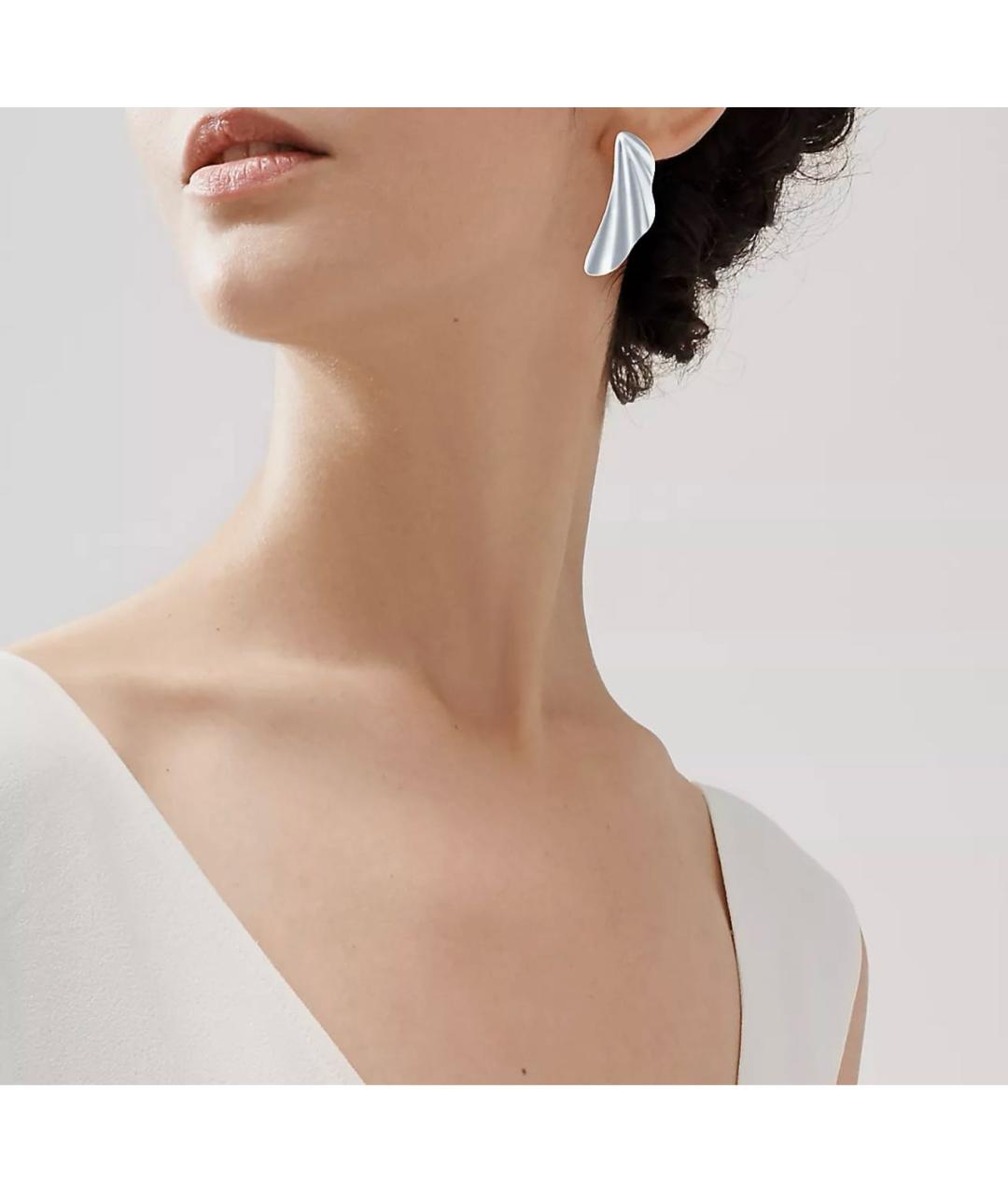 TIFFANY&CO Серебряные серебряные серьги, фото 4