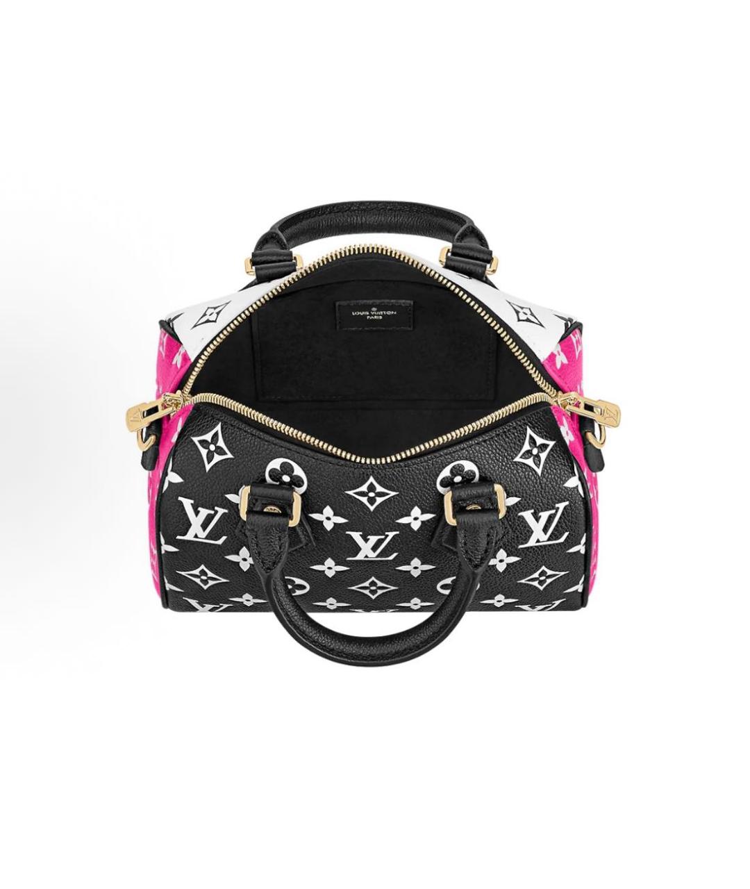 LOUIS VUITTON Мульти сумка с короткими ручками, фото 4