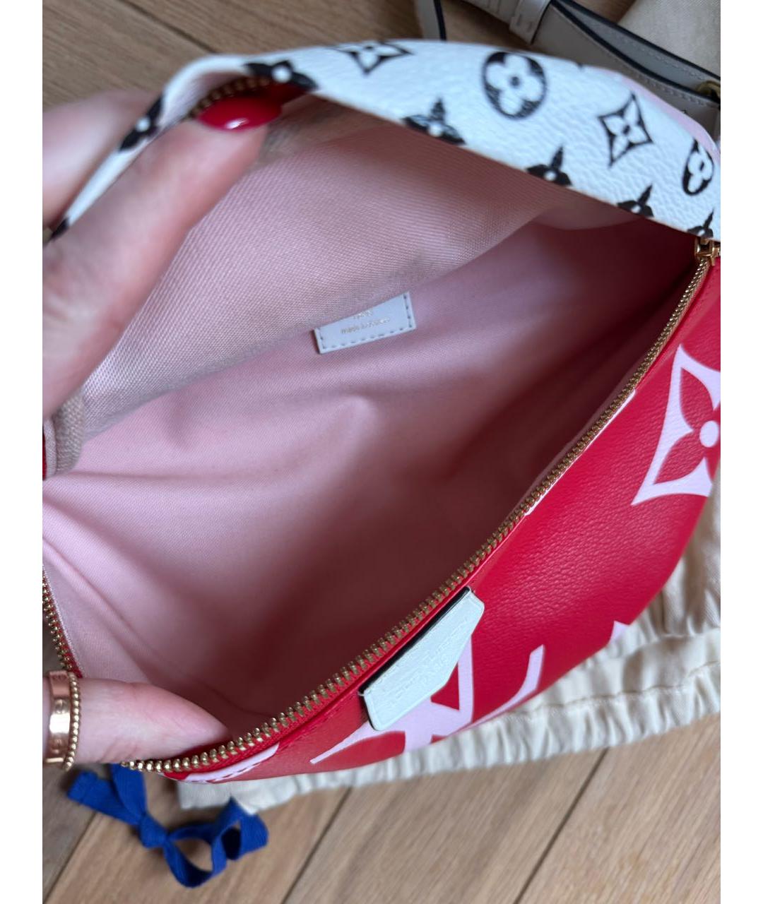 LOUIS VUITTON Мульти поясная сумка, фото 5