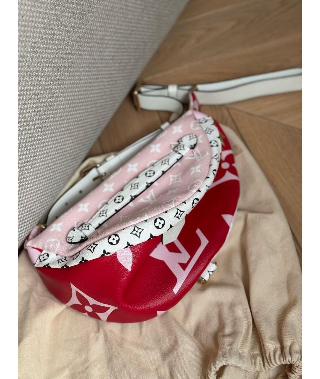 LOUIS VUITTON Мульти поясная сумка, фото 6