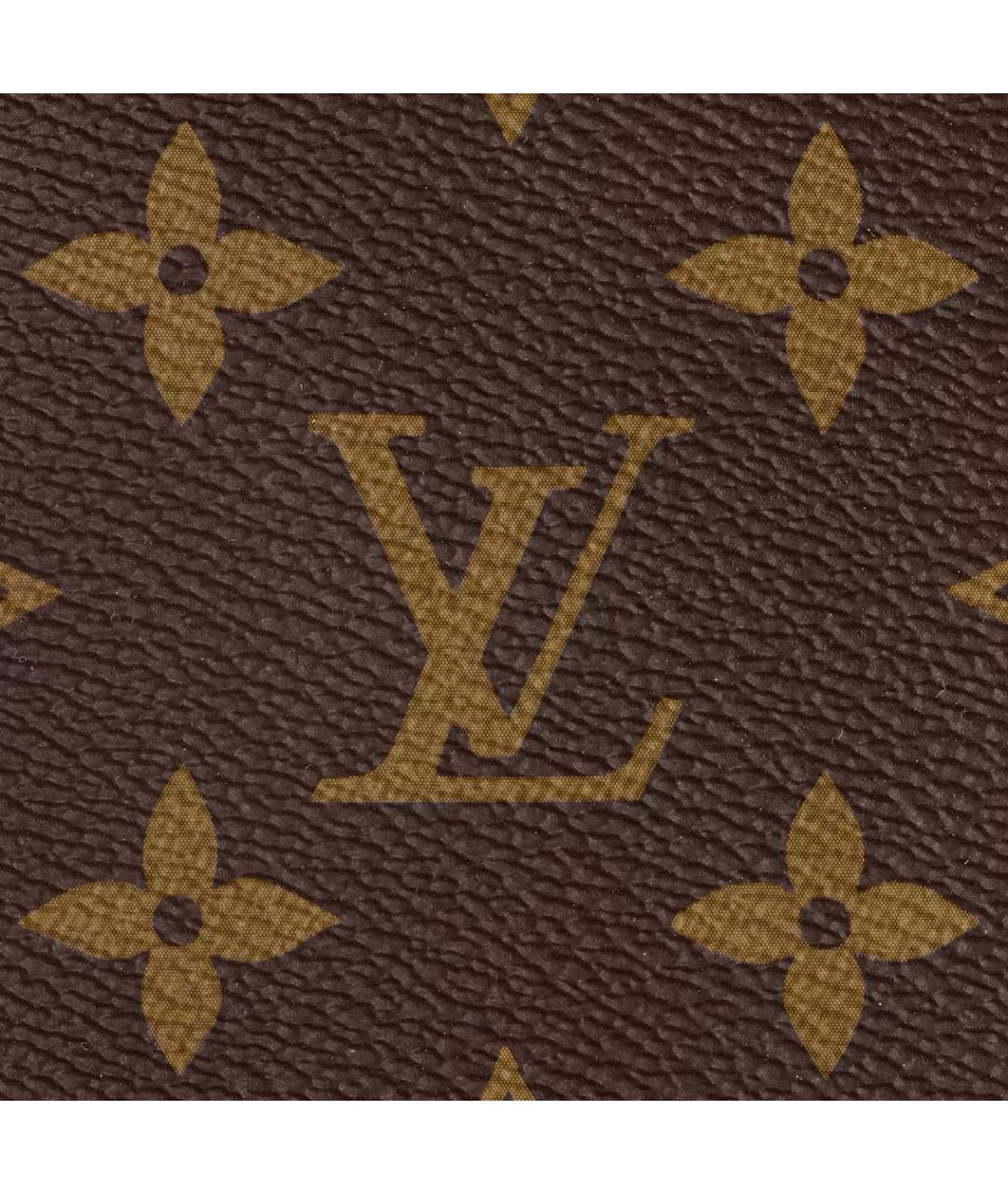 LOUIS VUITTON Коричневая сумка тоут, фото 4