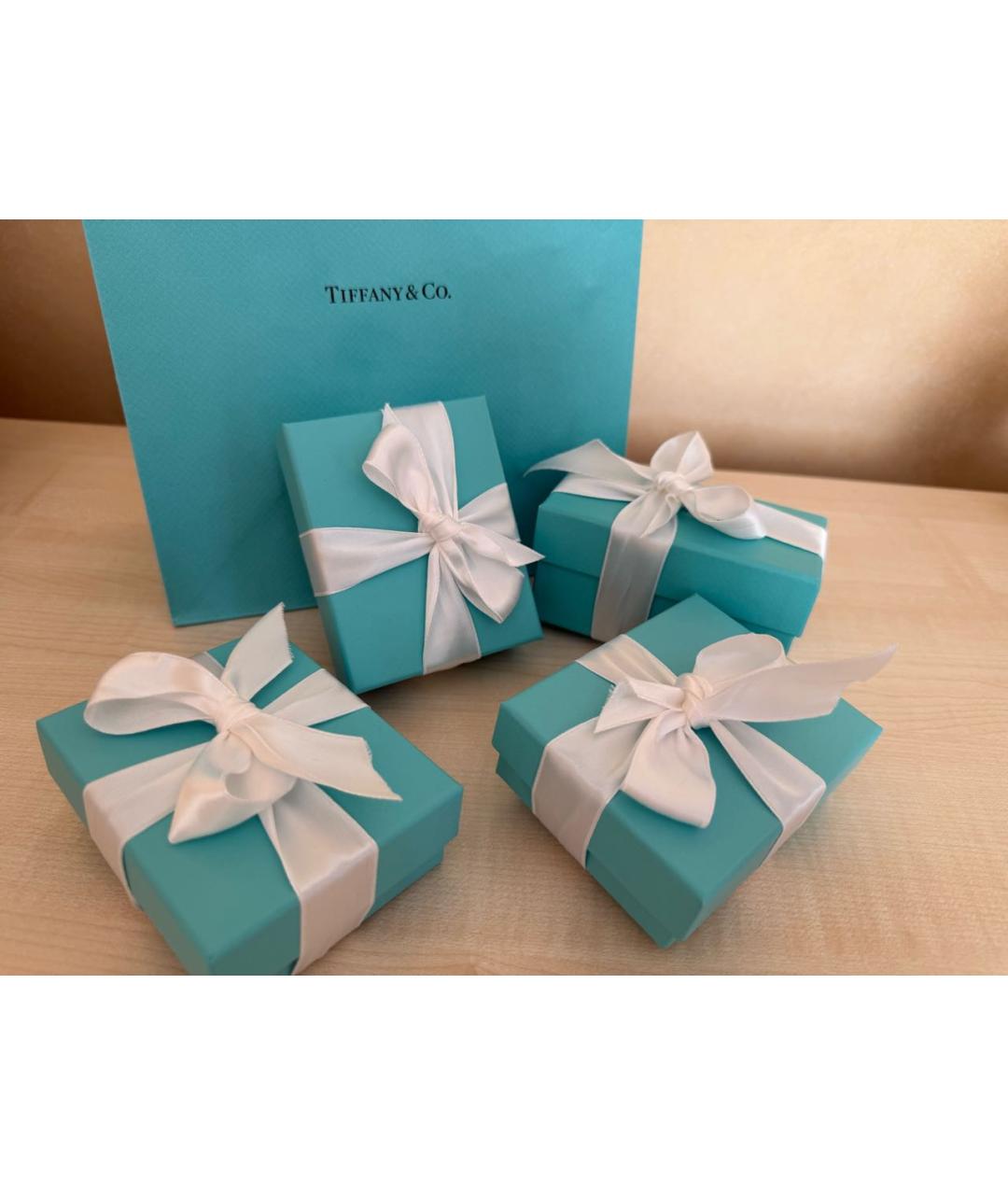 TIFFANY&CO Серебряные серебряные серьги, фото 3