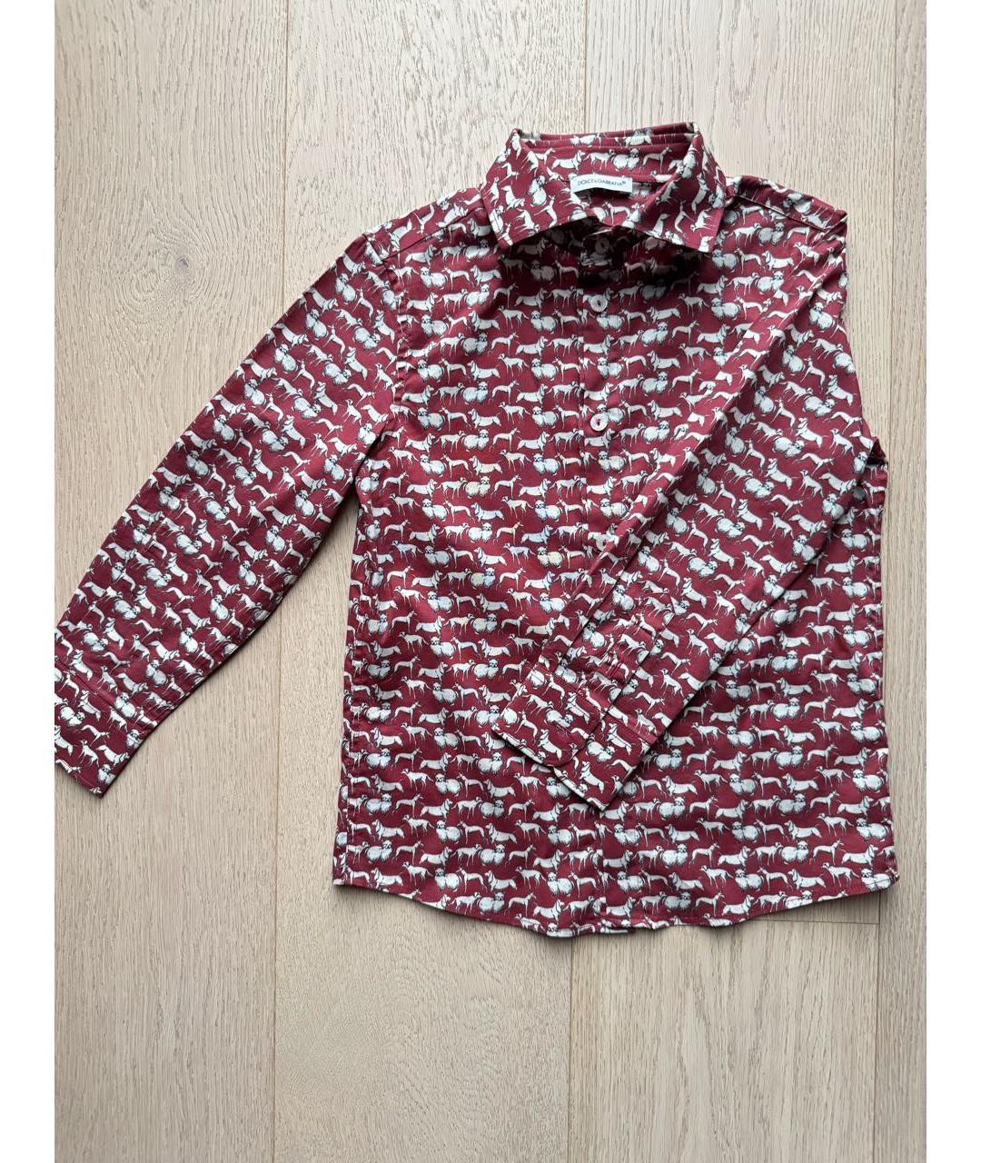 DOLCE & GABBANA KIDS Бордовая хлопковая детская рубашка, фото 2
