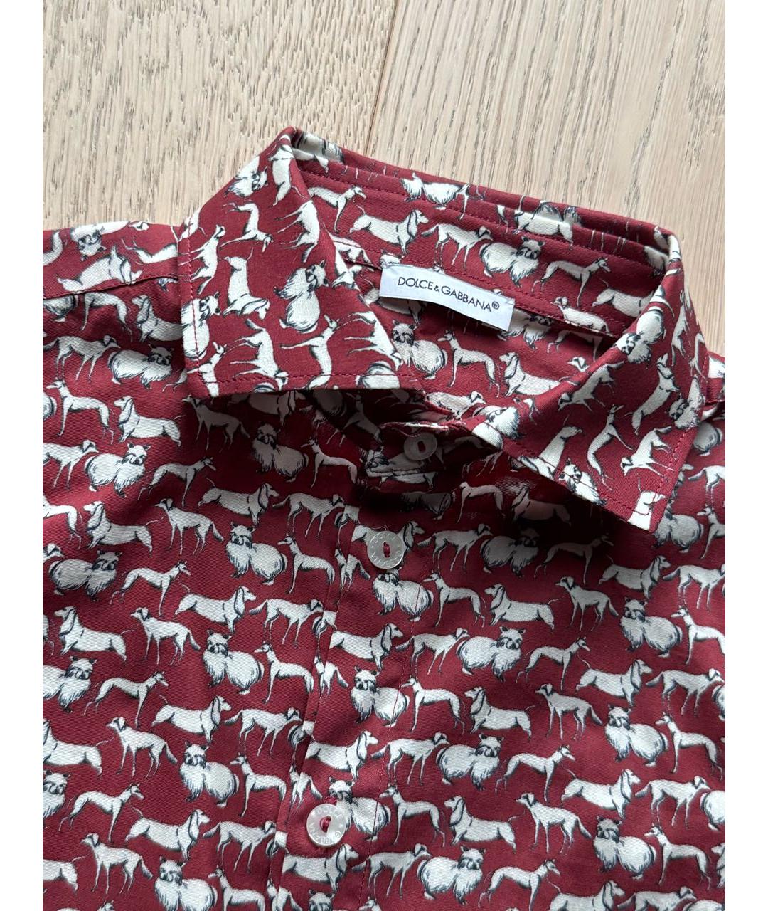 DOLCE & GABBANA KIDS Бордовая хлопковая детская рубашка, фото 3