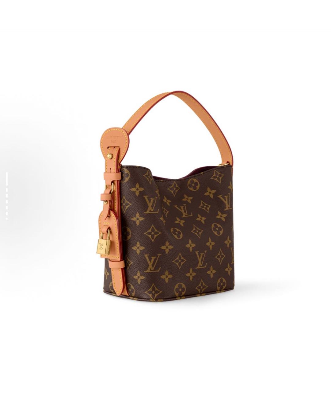 LOUIS VUITTON Коричневая кожаная сумка тоут, фото 2