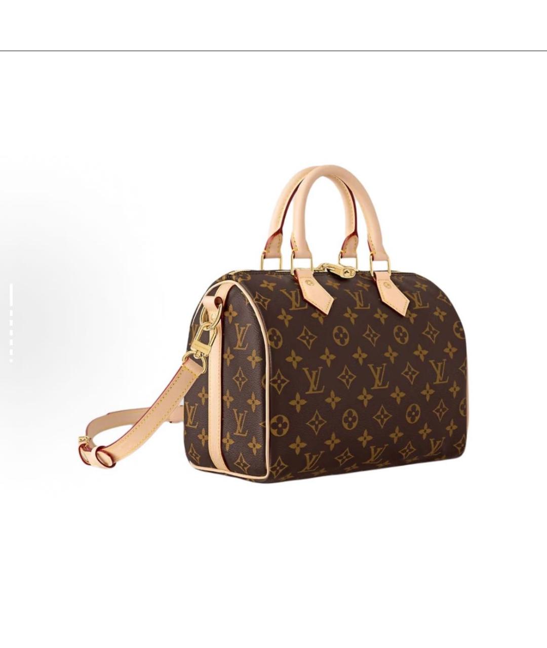 LOUIS VUITTON Коричневая кожаная сумка тоут, фото 2