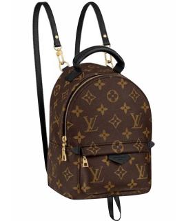 LOUIS VUITTON Рюкзак