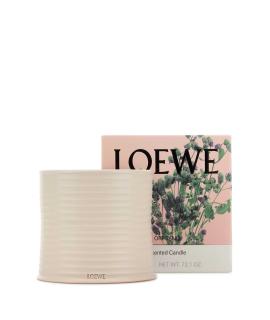 LOEWE Свеча