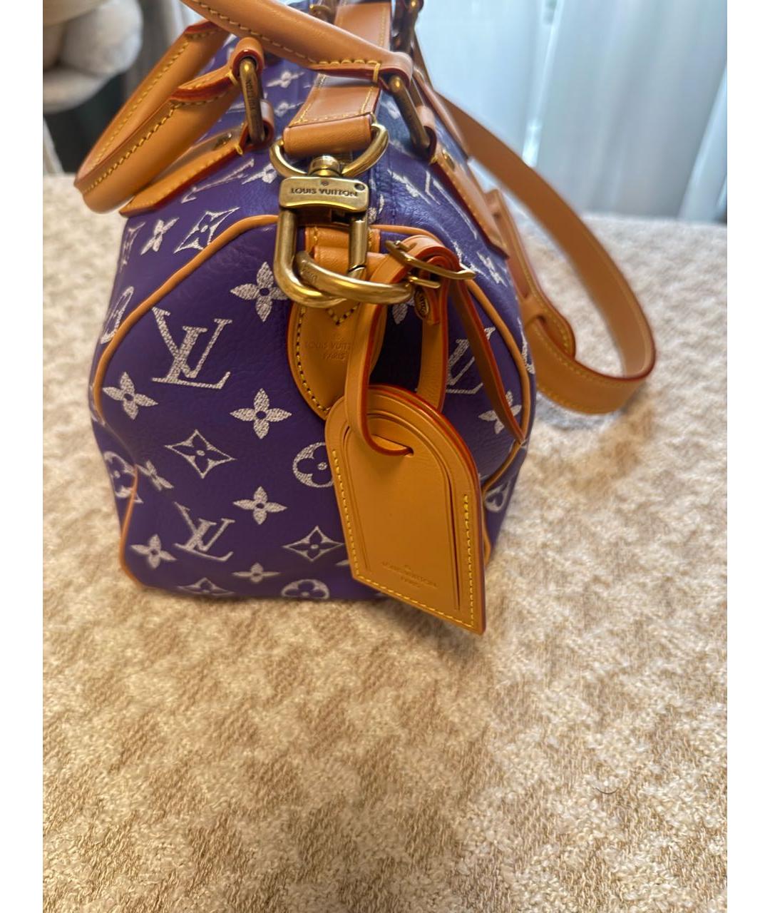 LOUIS VUITTON Мульти сумка с короткими ручками, фото 2