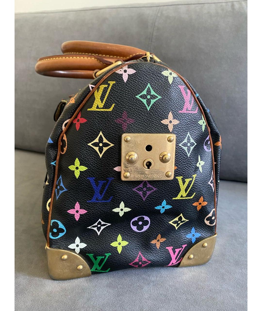 LOUIS VUITTON Мульти кожаная сумка с короткими ручками, фото 5