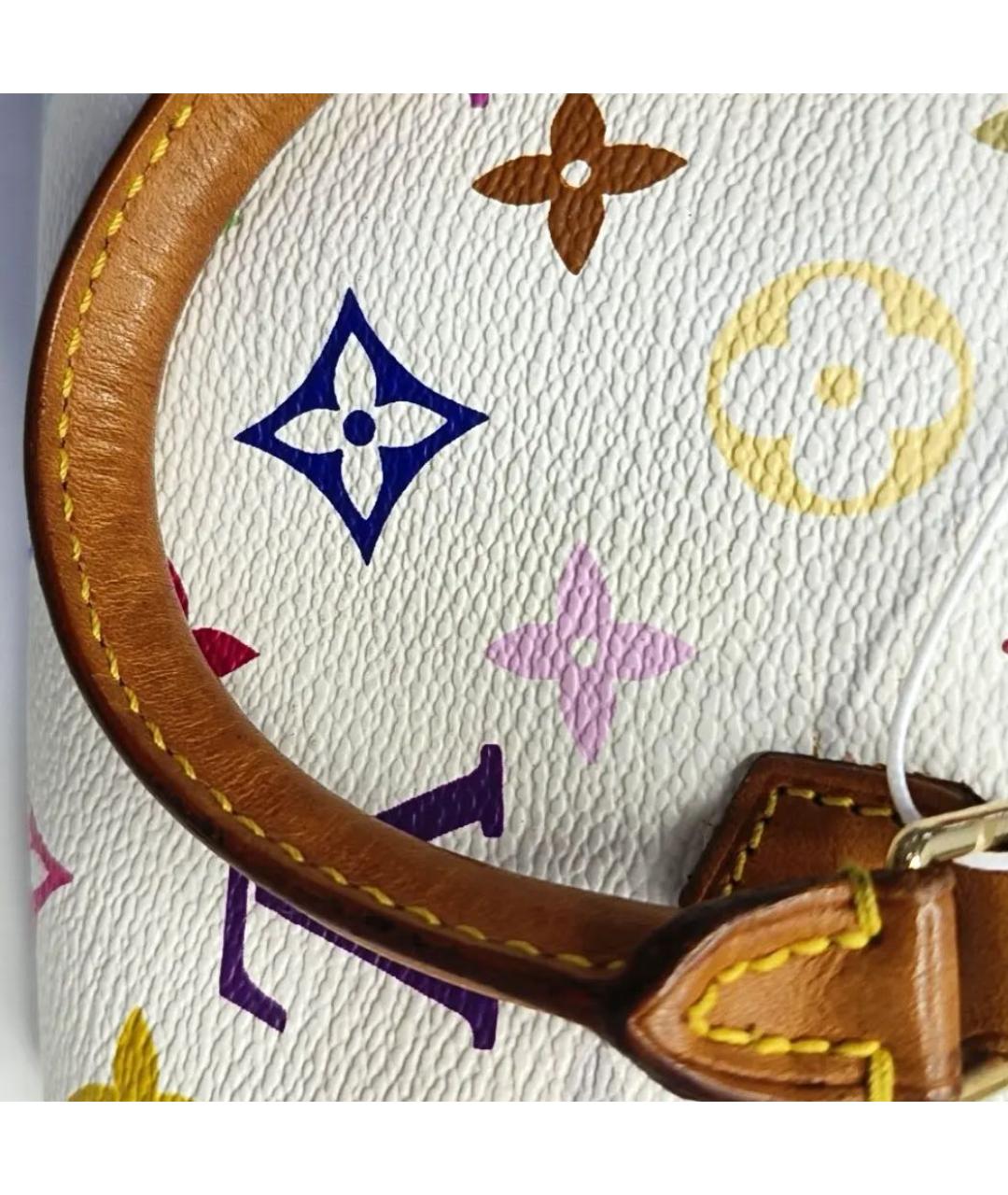 LOUIS VUITTON Мульти сумка с короткими ручками, фото 6
