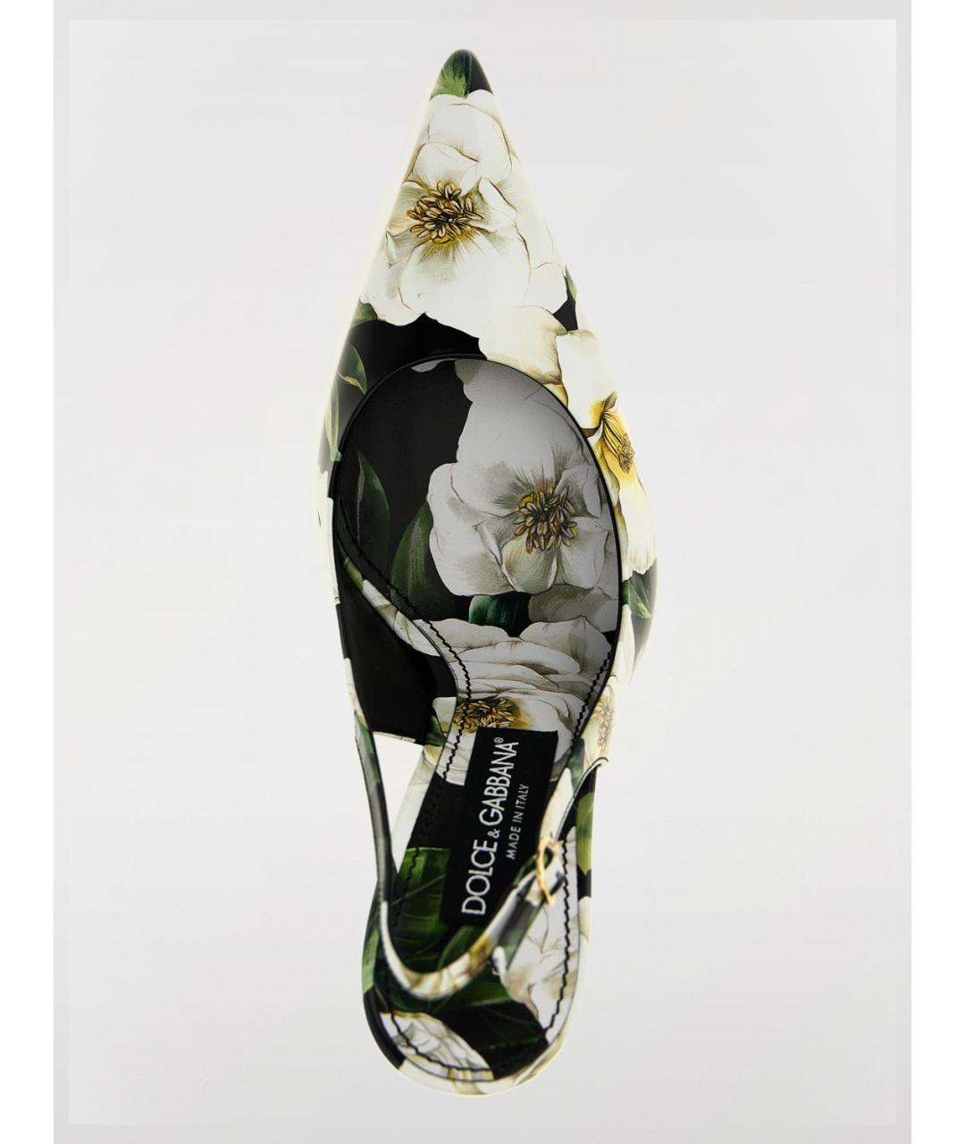 DOLCE&GABBANA Мульти кожаные туфли, фото 4