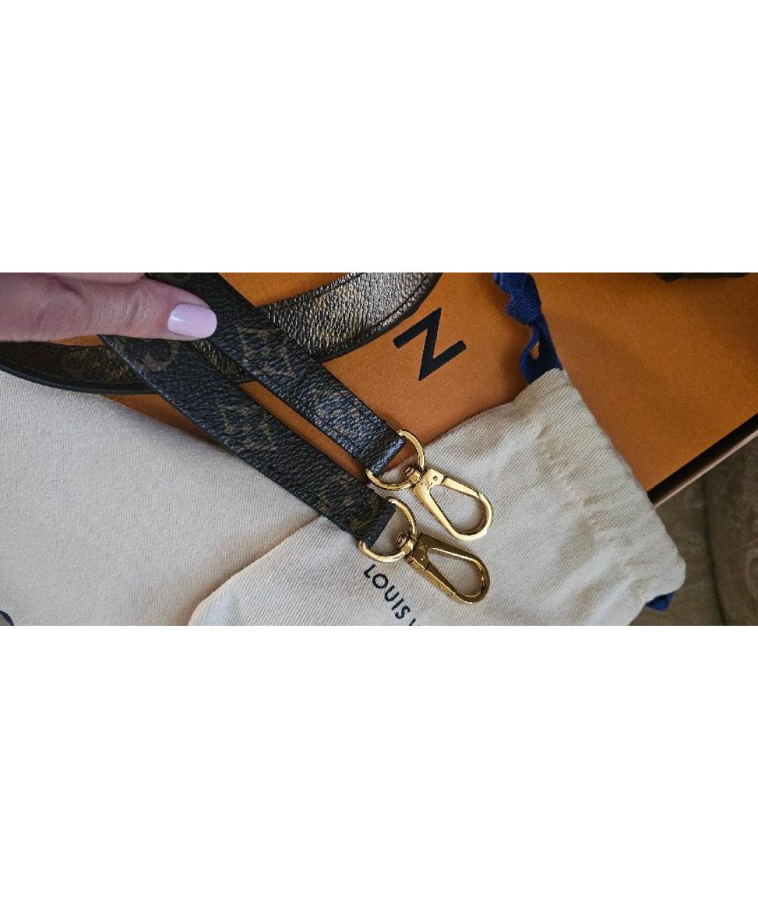 LOUIS VUITTON Коричневая сумка тоут, фото 8