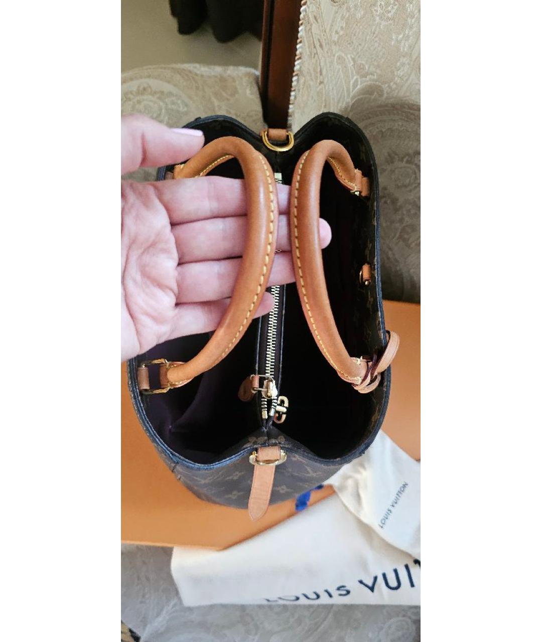 LOUIS VUITTON Коричневая сумка тоут, фото 9