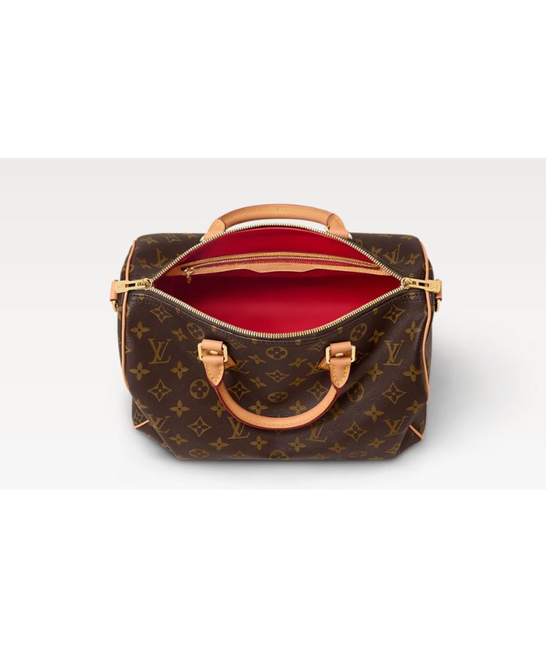 LOUIS VUITTON Коричневая сумка с короткими ручками, фото 3