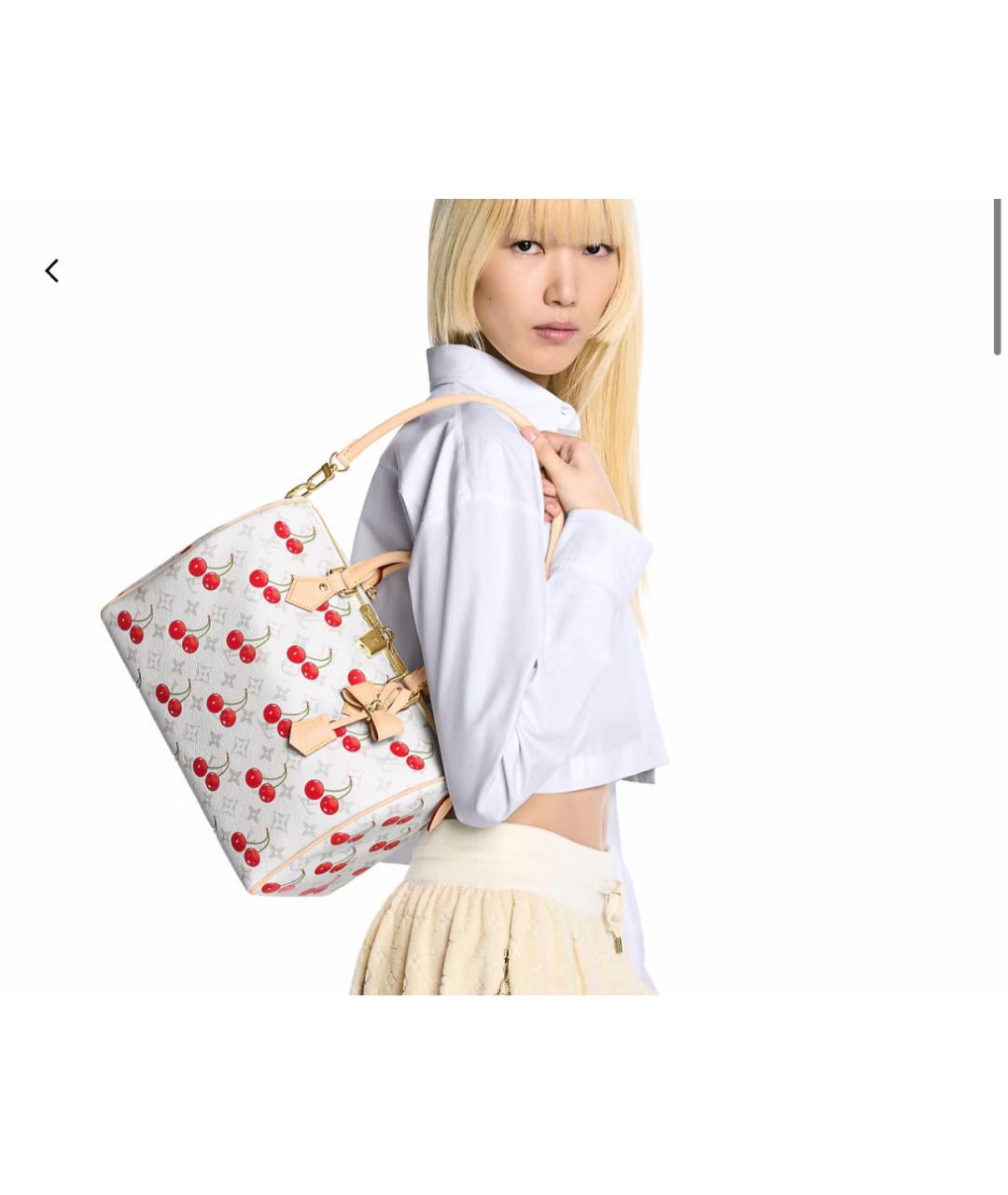 LOUIS VUITTON Мульти сумка с короткими ручками, фото 5