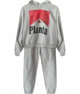 PLANTA ROSA Комплект