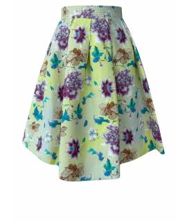 ETRO Юбка мини